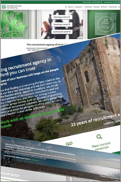 The Recruitment Consultancy Guildford